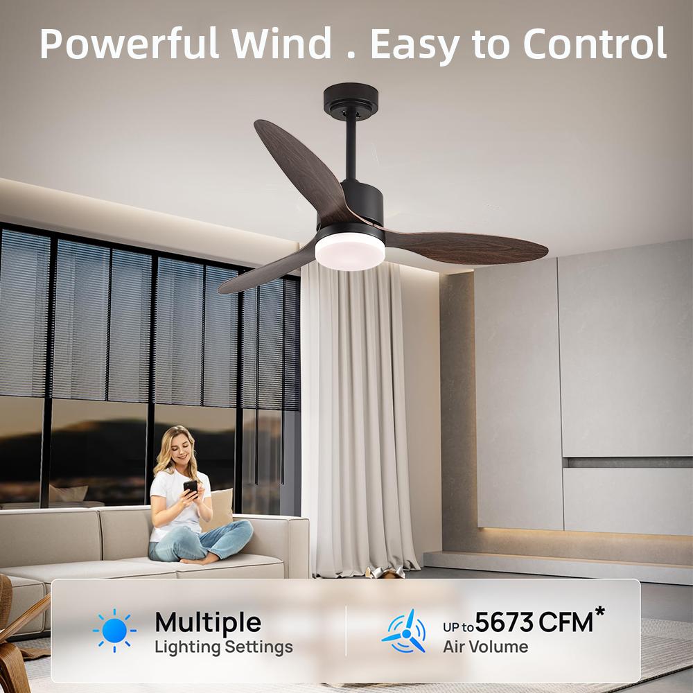 Ceiling Fans with Lights and Remote 52 Inch Quiet Reversible DC Motor Ceiling Fan for Bedroom Living Room Easy To Install