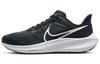 Air Zoom Pegasus 39 Черно-белый Женские DH4072-001