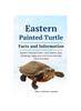 Книга Eastern Painted Turtle : Eastern Painted Turtle Care, Health, Diet, Breeding, Cages, Pro's and Cons and Lots More Included