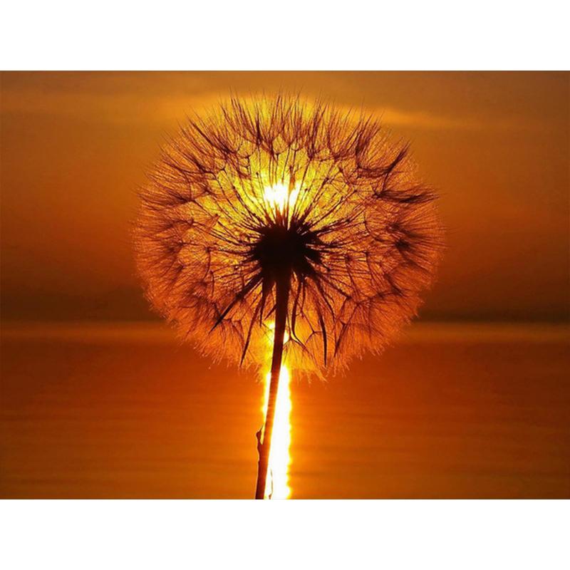 Diamond Painting Dandelion Full Square Mosaic Art Sunset Diamond Embroidery Landscape Picture of Rhinestone Home Decor