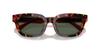 Sunglasses 0EA4233U HAVANA BROWN 53 [Emporio Armani]