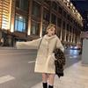 Плюшевое пальто с капюшоном: Осень/Зима, Свободный крой, Корейский академический стиль, Смесь меха и хлопка