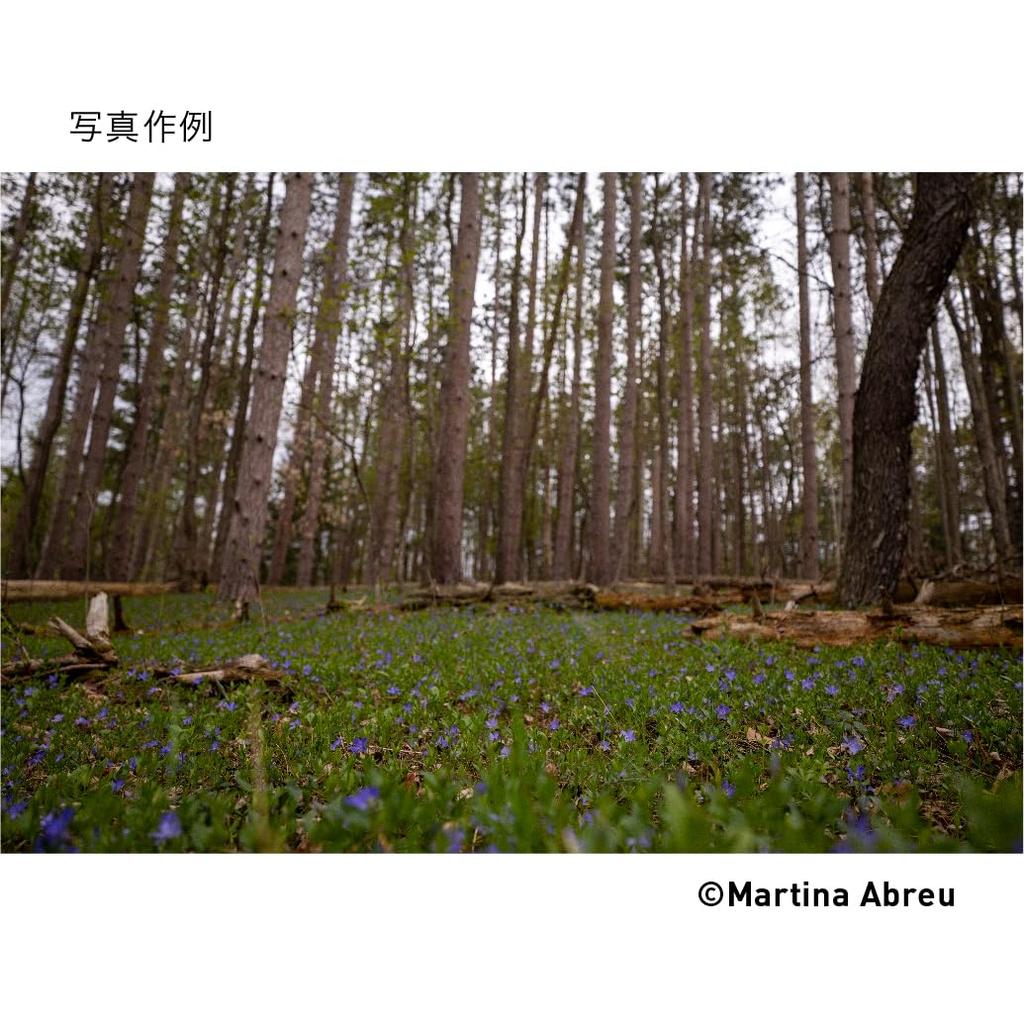 Sigma DG DN Contemporary Зум-объектив для беззеркальных камер Sony 16-28мм F2.8 Широкоугольный E-Mount Полнокадровый