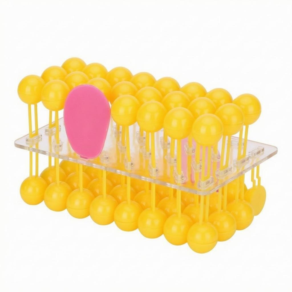Cell Membrane Model Educational Fluid Mosaic 3D for Students