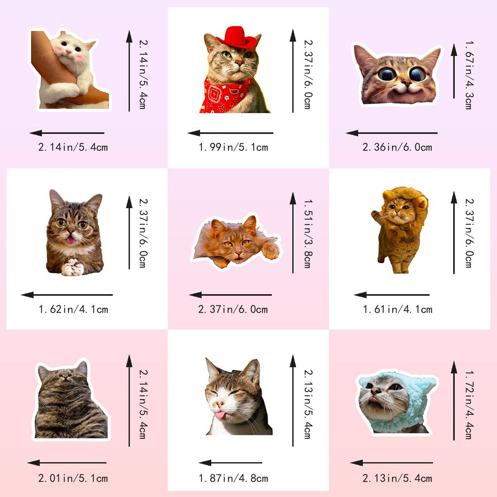 50PCS Realistic Cat Stickers, Cute Dumbfounded Expression Decals for Water Bottle, Notebook & Journal