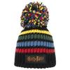HARRY POTTER Unisex Adult Logo Bobble Beanie