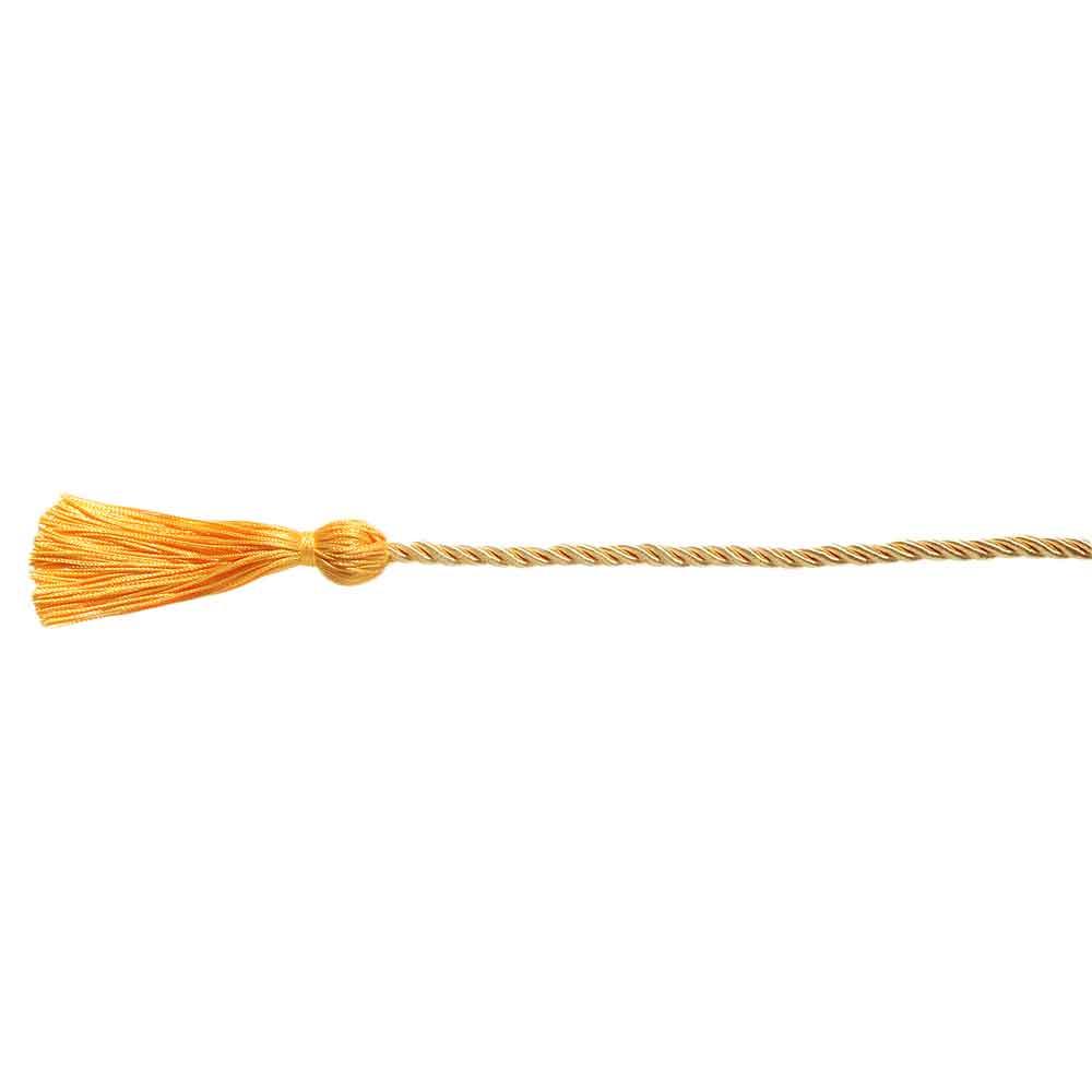 Props Polyester Craft Braided Tassels Cord Graduation Honor Cords Bachelor Gown Yarn Honor Cord
