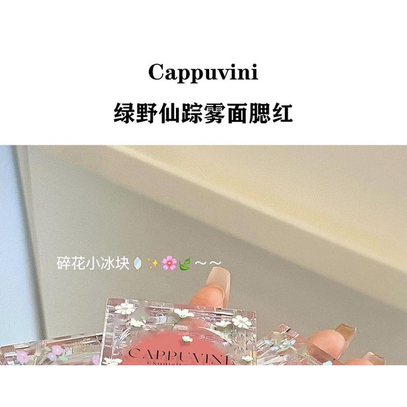 Cappuvini - Волшебник страны Оз Матовый Мульти-используемый Румяна - 4 Цвета
