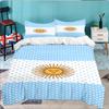 Argentina Flag Design 3PCS Bedding set,Ideal for 1pc Duvet Cover And 2pcs Pillowcases Perfect for Fan gift,Ideal for Bedroom, Dormitory