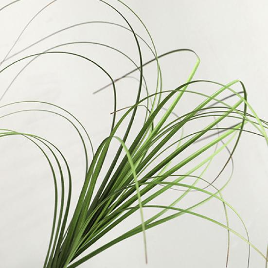 Привлекательный декор из травы Декоративный Долговечный Нежный