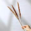 Wabi-Sabi Style Dried Flower Vase with Natural Reeds, Cattails, and Wheat (30-40cm)
