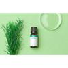 PURE TEA TREE PURE TEA TREE 100 Oil, 10ml, 1 Unit