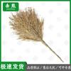 Прочные бамбуковые метлы Jixiong