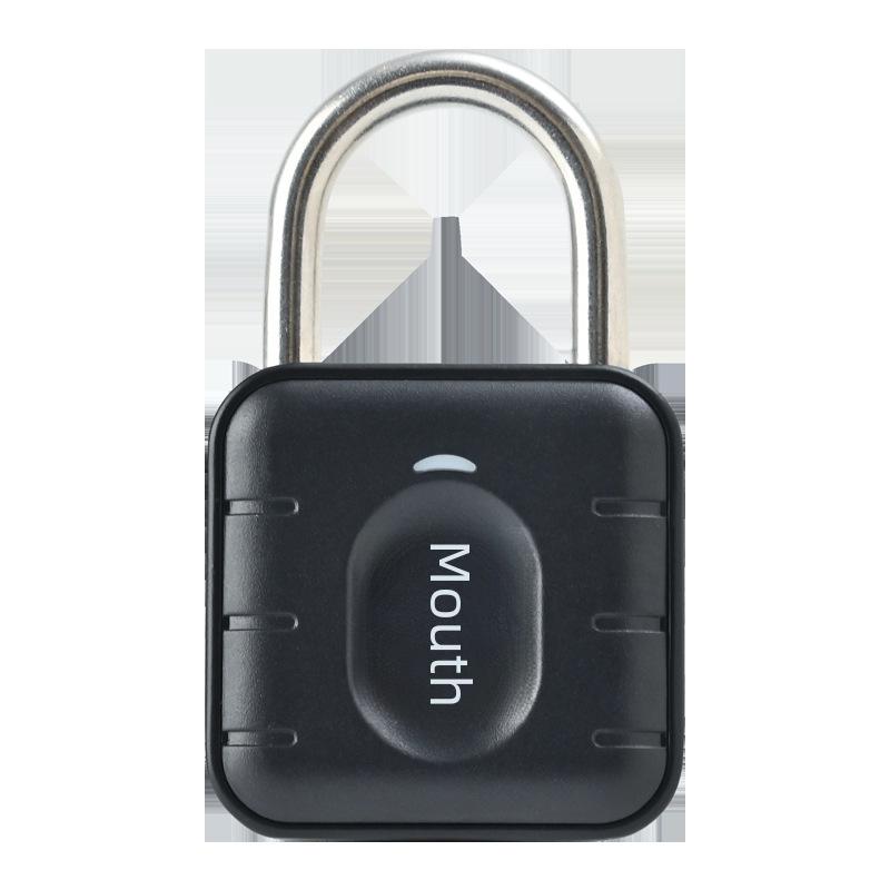 Умный водонепроницаемый навесной замок для дома, общежития, ящика или гаража