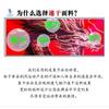 Men Women MMA Boxing Muay Thai Training Shorts Quick Dry Breathable Sport Pants Martial Arts Combat