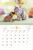 Календарь Накаёши Собаки/Ньян на 2025 год Каждый день – время отдыха > ([Календарь])