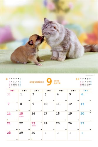 Календарь Накаёши Собаки/Ньян на 2025 год Каждый день – время отдыха > ([Календарь])