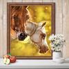 Animal Diamond Painting 5D Horse Diamond Embroidery Rhinestones Paint Home Decor Gift