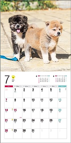 Календарь 2024 Акита-ину (Календарь Seibundo Shinkosha)