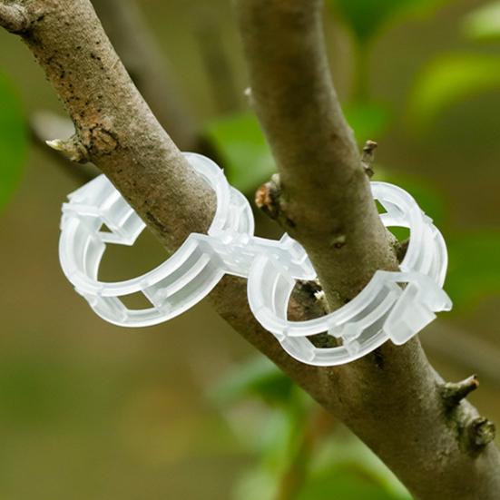 50 шт., без вреда для растений, зажим для виноградной лозы, практичный садовый подвесной держатель для ветвей растений, экономящий трудозатраты