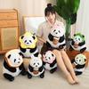 Creative Cute Flower Rabbit Dinosaur Transformation Panda Doll Plush Toy Black and White Red Panda Doll Rag Doll