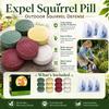 Squirrel Pellets, 12 Pack for Outdoor Garden Use