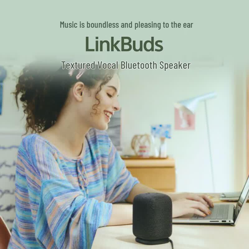 Sony Беспроводная колонка LinkBuds Home Art (Китайская версия)