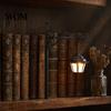 Indoor Accent Lighting for Nooks Ghost Bookshelf Light, Decorative Retro Lantern Library Decor, Warm LED Dark Academic Room Decor Reading Lamp