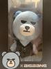 [USED] BIGBANG KRUNK Plush Toy D-LITE