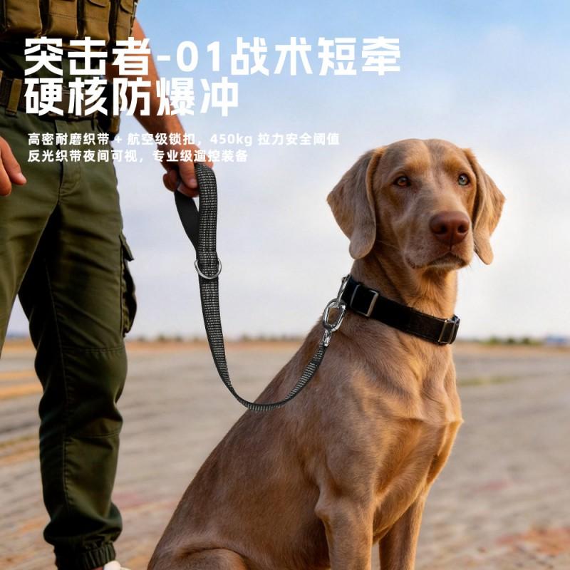 Reflective Heavy-Duty Dog Leash Training Non-Stretch Short Lead Double-Layer Reinforced 50cm X 2.5cm
