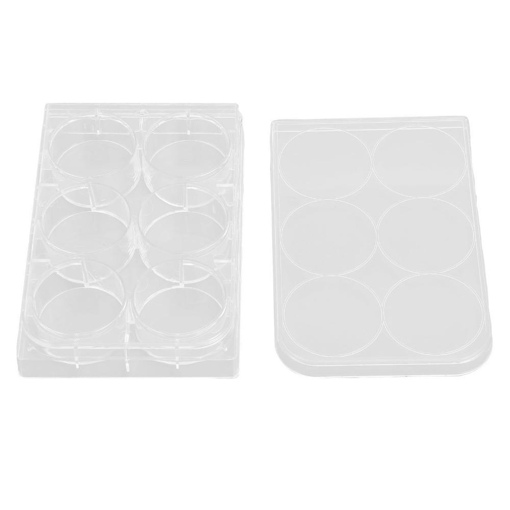 10pcs Clear Multiwell Cell Culture Plate Polystyrene Lab Culture Plate Lab Technicians