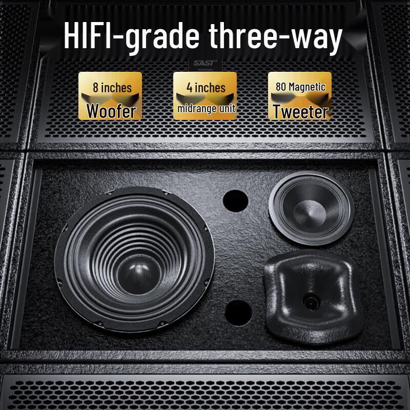 SAST Ultra-thin Conference Audio System with Wireless Microphones CN plug (adapter included)