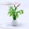 Мини-симуляция суккулентного растения в горшке, эльфийский сад, садоводство, микроландшафт, цветочные украшения, миниатюрная зеленая модель растения