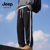 JEEP SPIRIT Унисекс Свободный крой Широкие повседневные брюки