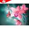 DIY Diamond Painting Flower And Butterfly Embroidery Sale Pictures Of Rhinestones