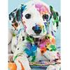Colorful Dog Diy Rubik's Cube Diamond Diamond Embroidery 5D Diamond Craft PaintingDiamond Wall Arts
