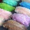 Colored Camel Bird Fur 15 -20cm Wedding Ornament Net Red Wall Decorative Feather Wall Hand Blooming Flowers Diy Dream Network Material