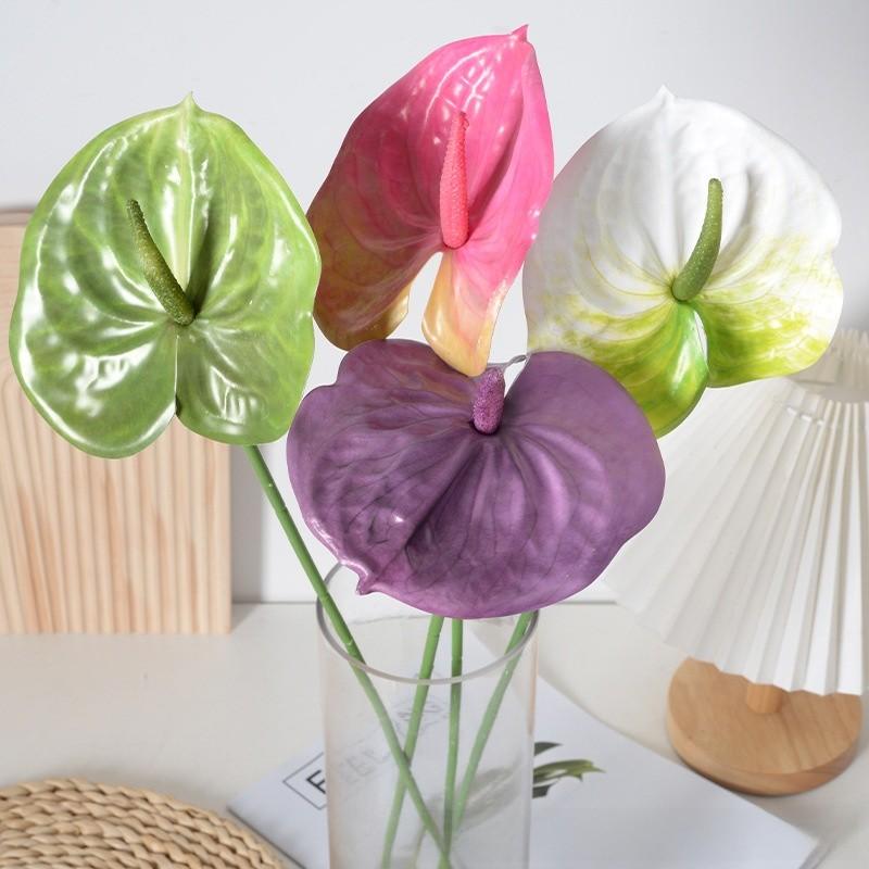Anthurium Linden Andraeanum Flower For Home Decor And Props Photography