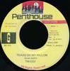 7-дюймовая пластинка TWIGGY  Tears On My Pillow PH153 Penthouse Recor 1997 Ямайка Регги Ска Даб Б/у