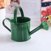 1шт мини-разбрызгиватель домашний сад Крытый старинный цветок металлический поливочный железный горшок