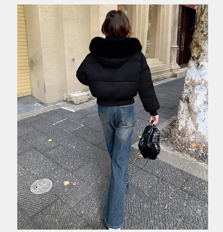 Women's Short Large Fur Collar Hooded Warm Cotton-padded Jacket