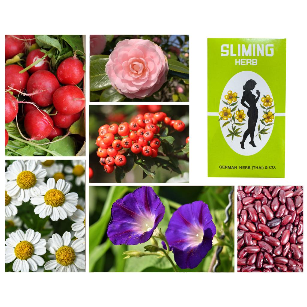 Китайский зеленый чай для похудения травяной 50 пакетиков