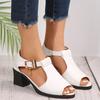 Fish Mouth Sandals Female Spring and Summer New Roman Ladies Thick Heel Shoes Versatile Medium Heel Mother Shoes