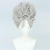 Monkey D Luffy Cosplay Wig Anime Straw Hat Boy Gear 5 Nika Luffy Silver Gray Curly Heat Resistant Synthetic Hair Wigs + Wig Cap