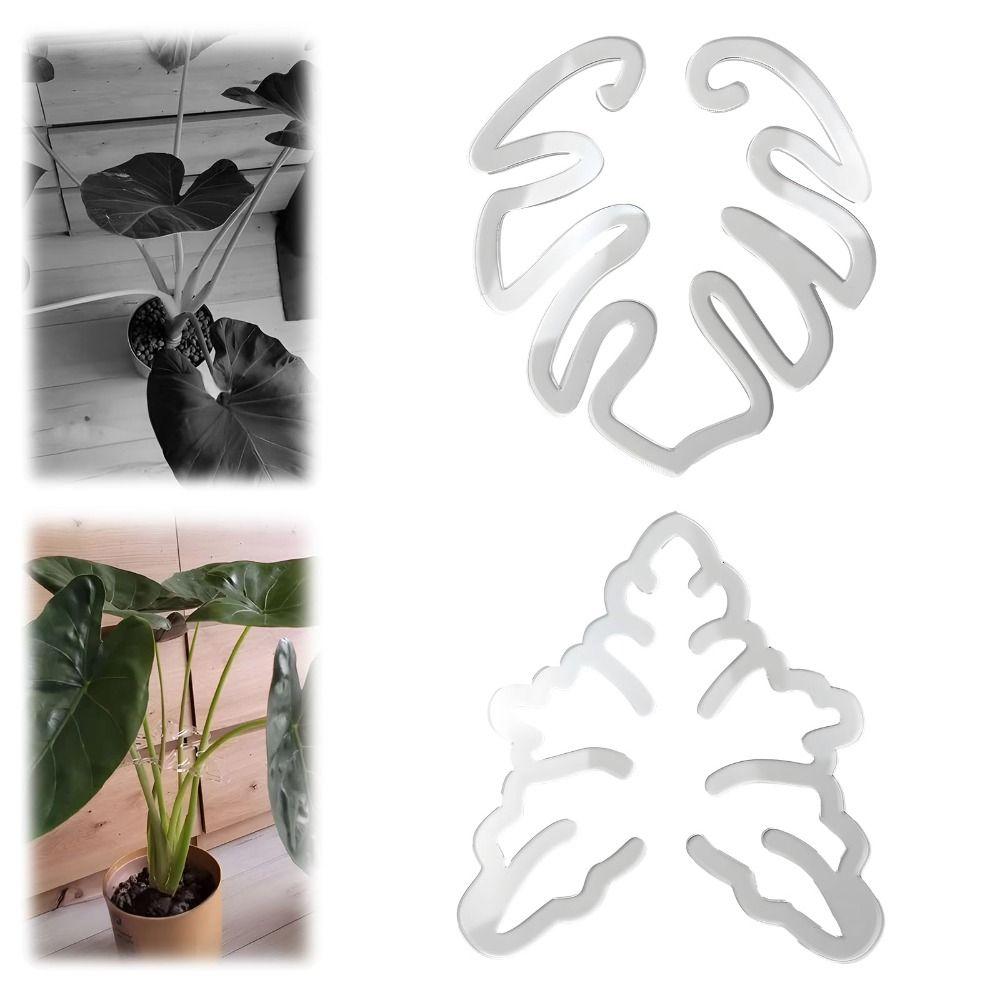 Clear Plant Stem Support Holder Plastic Plant Stem Support for Flower Lovers