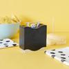 Balvi Toothpick Holder Peekaboo Black Toothpick Case