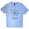James Multiple Daisy Logo Official Tee T-Shirt Mens