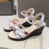 Fashion Wedges Heel Open Toe Women's Sandals Footwear New Breathable Fashion Designer Casual Comfort Shoe 2025 Luxury Pvc Ladies Shoes
