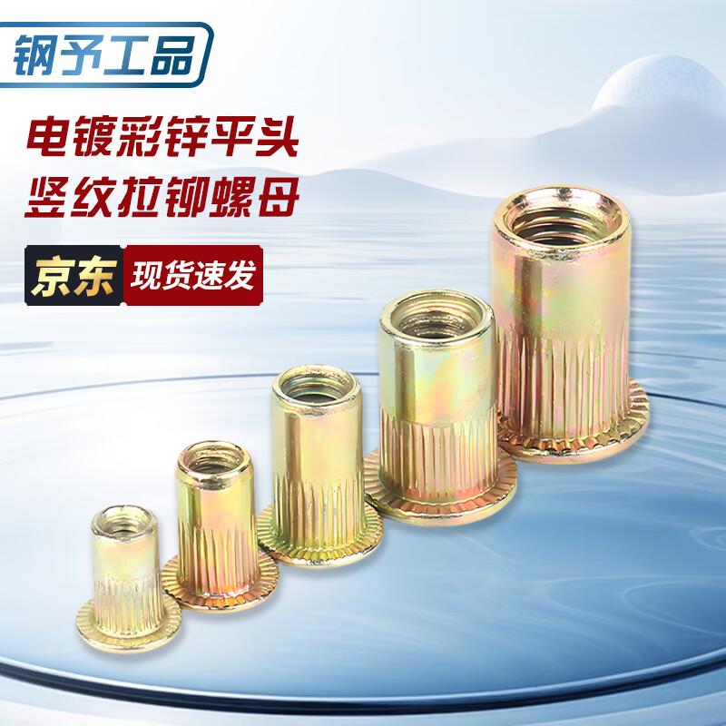Color Zinc Flat Head Rivet Nuts