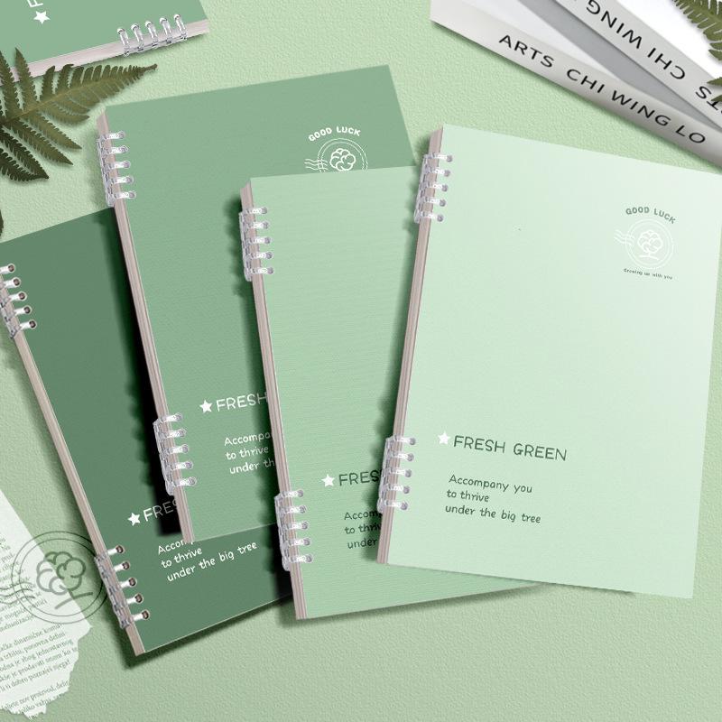 Simple Green & Blue Thickened Loose-leaf Paper Refill - B5 & A5 Ruled for High School